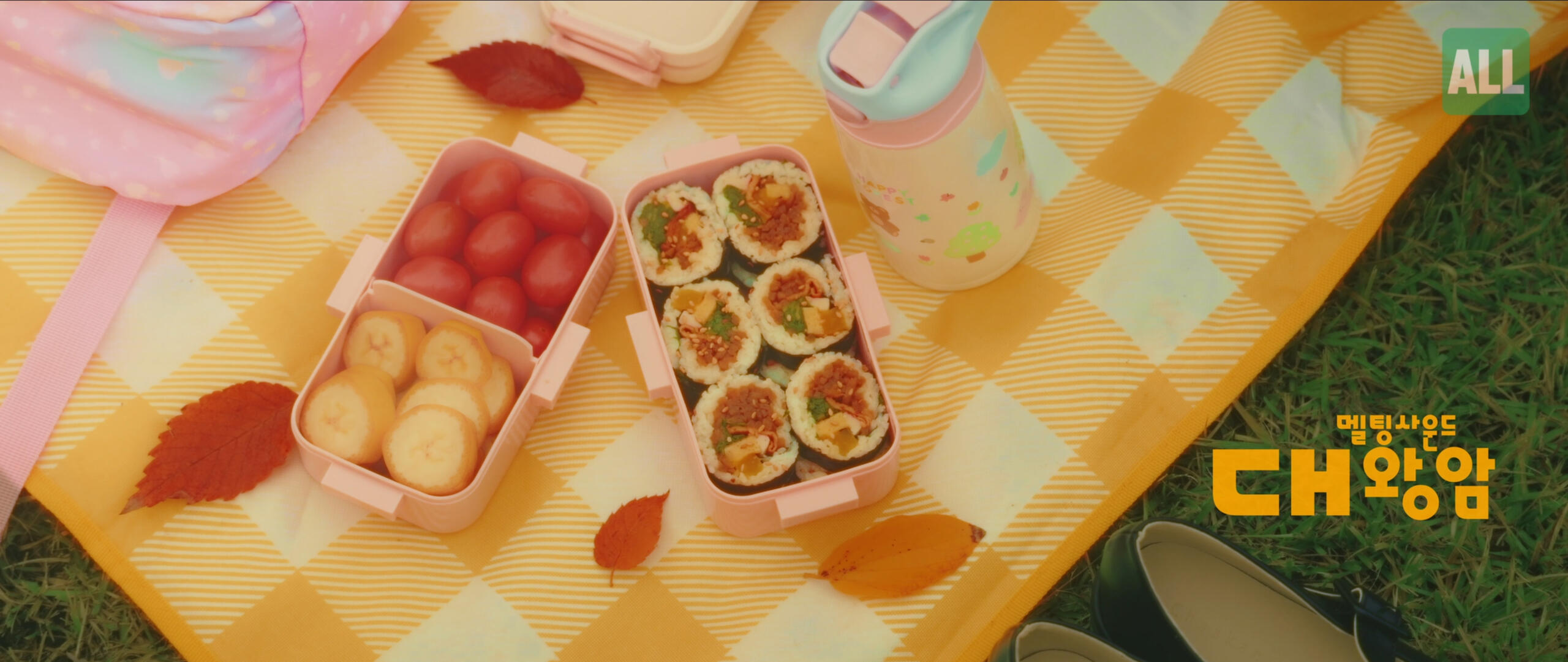 연출 · 촬영 · 편집